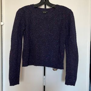 Theory purple speckled wool sweater